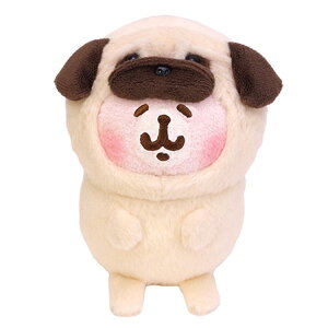 JiwC ʂ pO  957632 JiwC̏ sXP&