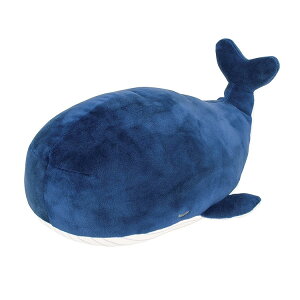 }V}Aj} {X^[ NW JiA {X^[NbV ʂ  312013