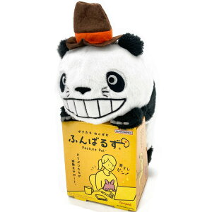 p_Rp_ 6755 ӂ΂邸 pp_ Aj TMS {x M