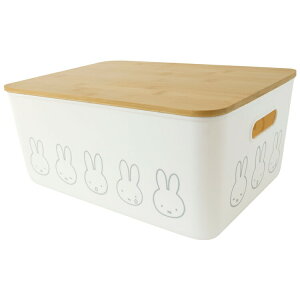 ~btB[ ou[t^t[P[X L miffy fBbNu[i