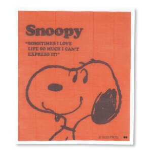 Xk[s[ ␶nӂ RD 771841 SNOOPY s[ibc