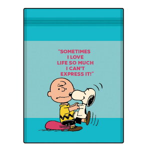 Xk[s[ Xg[WobOZbg SN&CB BL 771919 SNOOPY CHARLIE BROWN `[[uE