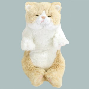 Ђ˂ ₷ ʂS CR 051380 L