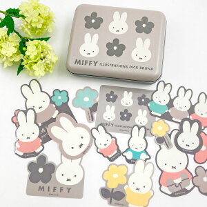 ~btB[ ʓXebJ[ O[ 053804 miffy fBbNu[i