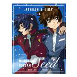 @mK_SEED LN^[XebJ[ Ԃт 143550 LXe