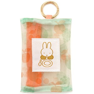 ~btB[ bV`[|[` fruits 985750 COLOR&SHAPE Miffy fBbNu[i t[c