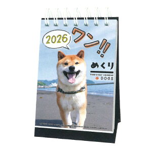 !!߂ 2026NJ_[ 1000136881  ߂ O 174376