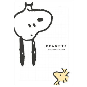 Xk[s[ ~L[NAm[g5mm  322474 PEANUTS s[ibc