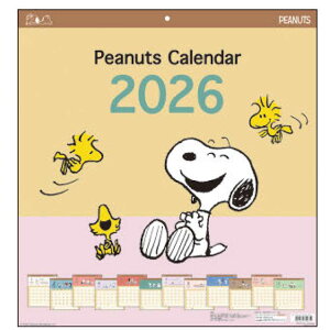 Xk[s[ 2026NJ_[ EH[J_[XNGA Ǌ| 799612