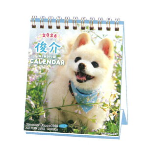 r 2026NJ_[ 1000136891  T߂~j O 174482