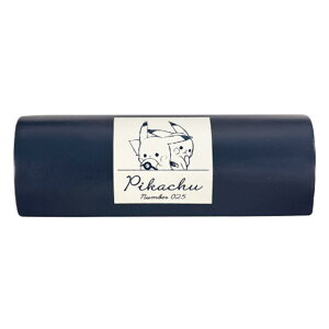 |PbgX^[ KlP[X Daily Life sJ`E 246256 pokemon |P