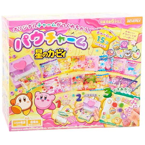 ̃J[rB pE`[ 489603 KIRBY Nintendo