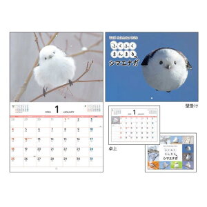 ӂӂ܂܂V}GiK KO635823 Ǌ|& W&DJ_[2026 Zj jn܂ O ܂Ȃ g