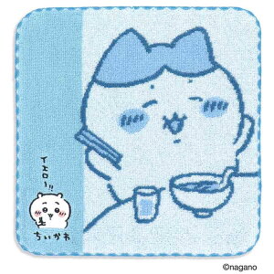  41-1370080 ^InJ` CG[II u[