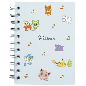 |PbgX^[ A6WOm[g `F[`V 058773 [RNV pokemon |P
