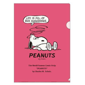 Xk[s[ NAt@C A4 307990 SNOOPY s[ibc
