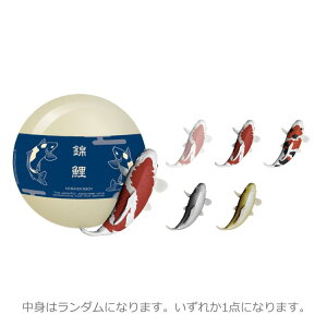 yg̓_zь KPT-1-04 {̓`IȉN}XRbg ɂ M ɉh ^C㏸