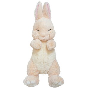 Ђ ₷ʂ BE 049554 T