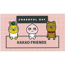 KAKAO FRIENDS クリップセット KF BA(Bアピーチ)