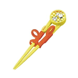 Xk[s[ ADXT1 fbNXg[jO