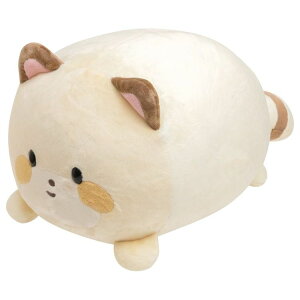 RRACO} X[p[[啟NbVSnOŃRRۂۂ