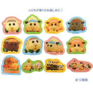 ͂܂ PUI PUI J[ XebJ[