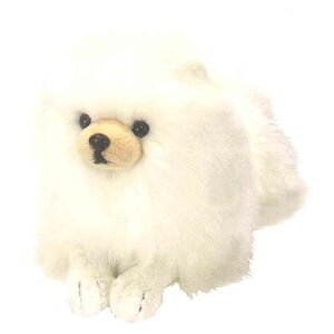 Ђ ʂS(|jA^CR) [046454]