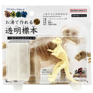 fBmEA[X ܂ ō铧W{ pLPt@TEX   炩 ₷ƌł܂ vX`bN˂  316078