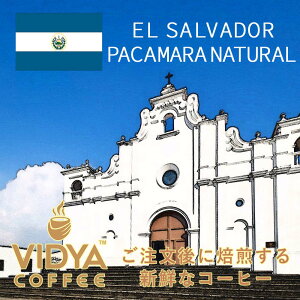 yzi R[q[ GToh pJ} i` 500g×2 100t v1kg R[q[  XyVeB XyVeBR[q[  Ӓ}X^[ VidyaCoffee B