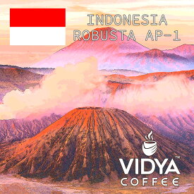 【アイス＆ホット兼用・送料無料】大容量 コーヒー豆 2kg 業務用 VIDYA インドネシア ロブスタ種AP-1 500g × 4袋 ＊業務卸 カフェ・喫茶店・レストランに最適！！＊