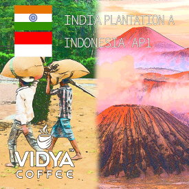 【コーヒー福袋】大容量 コーヒー豆 2kg 業務用 VIDYA インド プランテーションA 500g × 2袋 ＆ インドネシア ロブスタ AP1 500g × 2袋 【送料無料】＊業務卸 カフェ・喫茶店・レストラン・インド料理レストラン・カレーショップに最適！＊