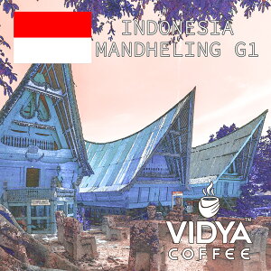 yzbgACXpEze R[q[ 2kg Ɩp VIDYA ChlVA }fG1 500g × 4 Ɩ JtFEiXEXgɍœKII