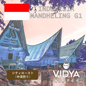 【ホット＆アイス兼用・送料無料】大容量 コーヒー豆 2kg 業務用 VIDYA インドネシア マンデリンG1シティロースト 500g × 4袋 ＊業務卸 カフェ・喫茶店・レストランに最適！！＊