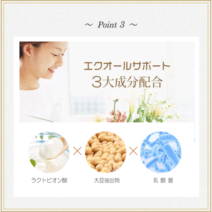 エルセーヌサプリ エルセーヌサプリ