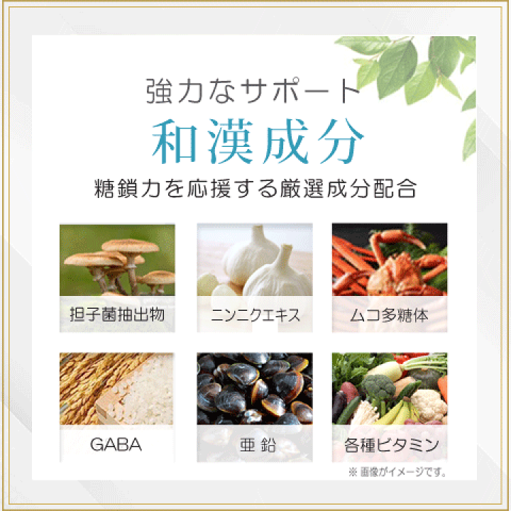 楽天市場】糖鎖栄養素 120粒 30日分 8種の糖鎖栄養素を全て配合！無