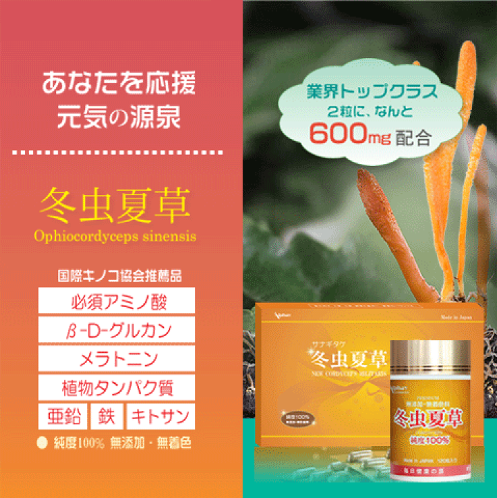 楽天市場】「レビュー書く方限定の特別価格」冬虫夏草