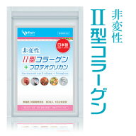 非変性2型コラーゲン + 非変性プロテオグリカン 国内最大級の配合 30日分 軟骨 サプリ II型コラーゲン コ…