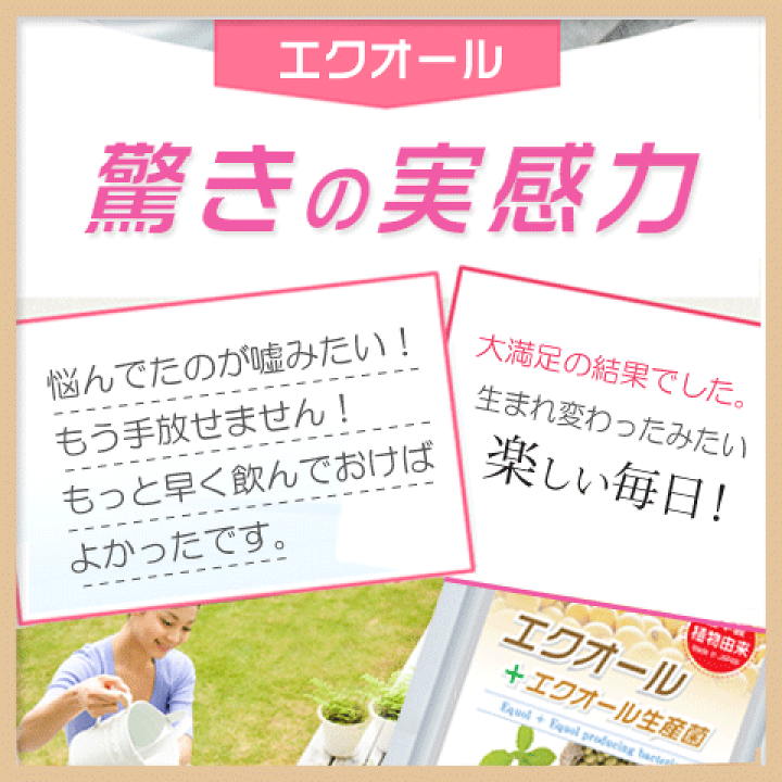 エクオール + ラクトビオン酸 90粒30日分×4袋セット 新品未開封 送料込 アドバンスト・メディカル・ケア エクオールN ラクトビオン酸