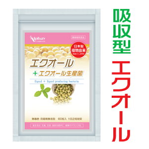 GNI[  哤C\t{ NgrI_ čfE哤GLX[۔y vZ^ `FXgx[ clQ XN GXgQ PMS PMDD XgXPA