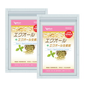 エクオール 2個セット 国産 ラクトビオン酸 米糠・大豆エキス納豆菌発酵物 大豆イソフラボン プラセンタ チェストベリー 田七人参 更年 ストレス 不安 睡眠 疲労感