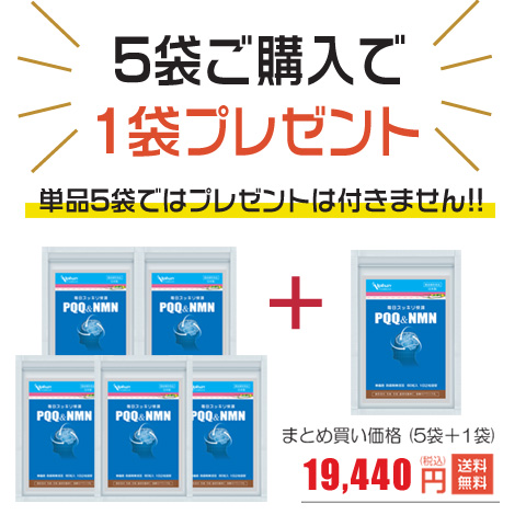 PQQ＋NMN 5袋＋1袋付 日本製 無添加 うっかり 物忘れ対策 記憶力 集中力 発達 更年 サプリ ミトコンドリア
