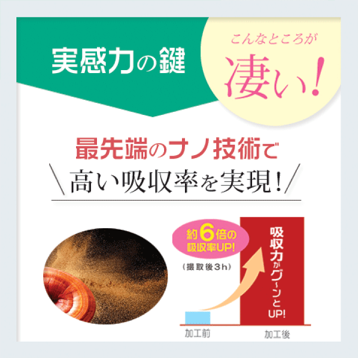 霊芝について | 株式会社きんかい茸