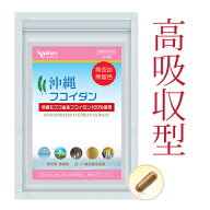 フコイダン 20粒 沖縄産もずく100% フコイダンサプリ 国産 無添加 無着色