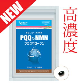 PQQ＋プラズマローゲン＋NMN 30日分 日本製 無添加 GABA DHA EPA イチョウ葉 集中力 記憶力 サプリ