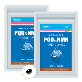 うっかり 物忘れ対策 2袋セット 日本製 無添加 PQQ プラズマローゲン GABA DHA EPA イチョウ葉 集中力 記憶力 サプリ