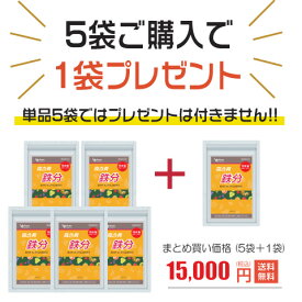 鉄分 サプリ 5袋＋1袋 国産 無添加 鉄分補給 鉄 ヘム鉄 サプリ 鉄分不足 葉酸 亜鉛 ビタミンC