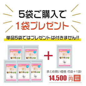 PMS サプリ お得な5袋セット(＋1袋プレゼント) エクオール チェストツリー チェストベリー ヘム鉄 国産 ストレスケア PMDD 生理 女性ホルモン 生理不順 気分安定