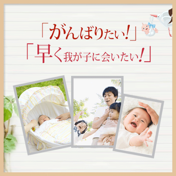 楽天市場】妊活サプリ 男性妊活 精子 リン脂質 マカ 亜鉛