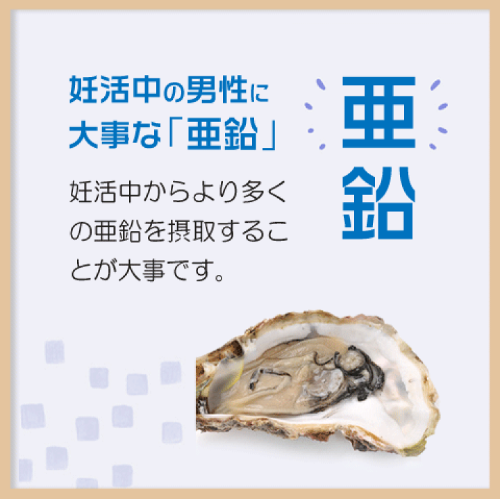 楽天市場】妊活サプリ 男性妊活 精子 リン脂質 マカ 亜鉛