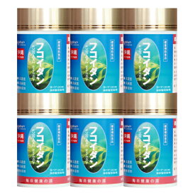 フコイダン お徳用6個セット(約1年分) 沖縄フコイダン 無添加 無着色 フコイダンエキス 長命草 霊芝 霊芝胞子粉 担子菌